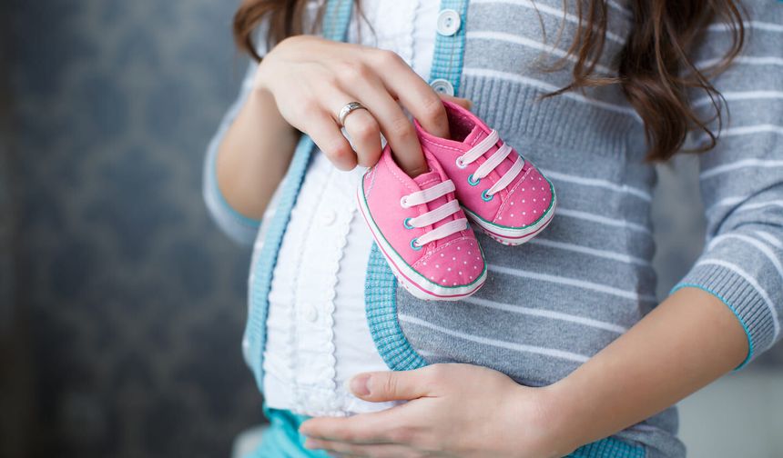 Hamilelikte Gizli Tehlike: Toksoplazma