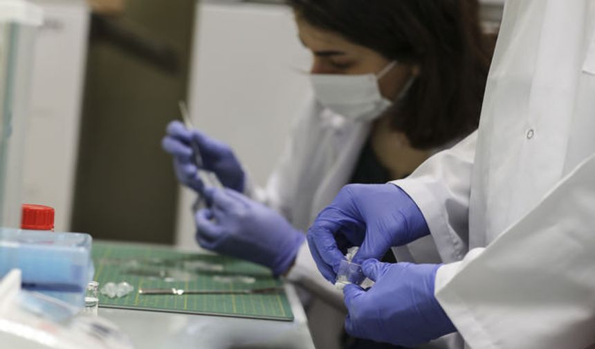 Kanda dolaşan kanser hücrelerini yakalayan "akıllı çip" yöntemi, Türkiye'de klinik aşamaya geçti